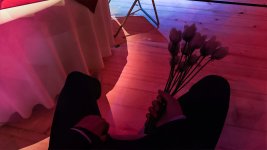 promin9.jpg