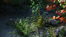 lake_rainy.png